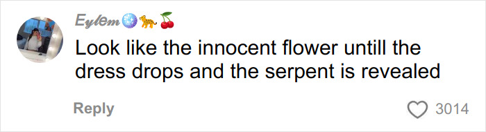 User comment on social media about Chappell Roan&rsquo;s Grammys outfit, describing it as shocking and revealing.