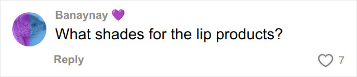 Social media comment asking about lip product shades related to Chappell Roan's makeup artist and Grammys dress controversy.
