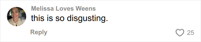Screenshot of a social media comment from Melissa Loves Weens expressing disgust about school employee confession video.