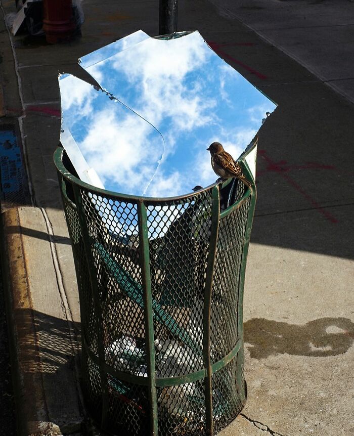 Broken mirror in trash reflecting blue sky and clouds with a bird perched, creating a reality glitch illusion effect.