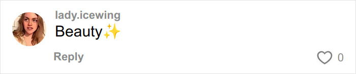 Comment from user lady.icewing saying Beauty with sparkle emojis on a social media platform reply section.