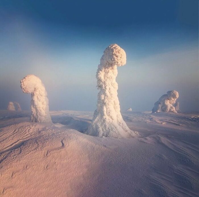 Snow-covered trees resembling surreal shapes in a frosty landscape, a reality glitched illusion with perfect timing.