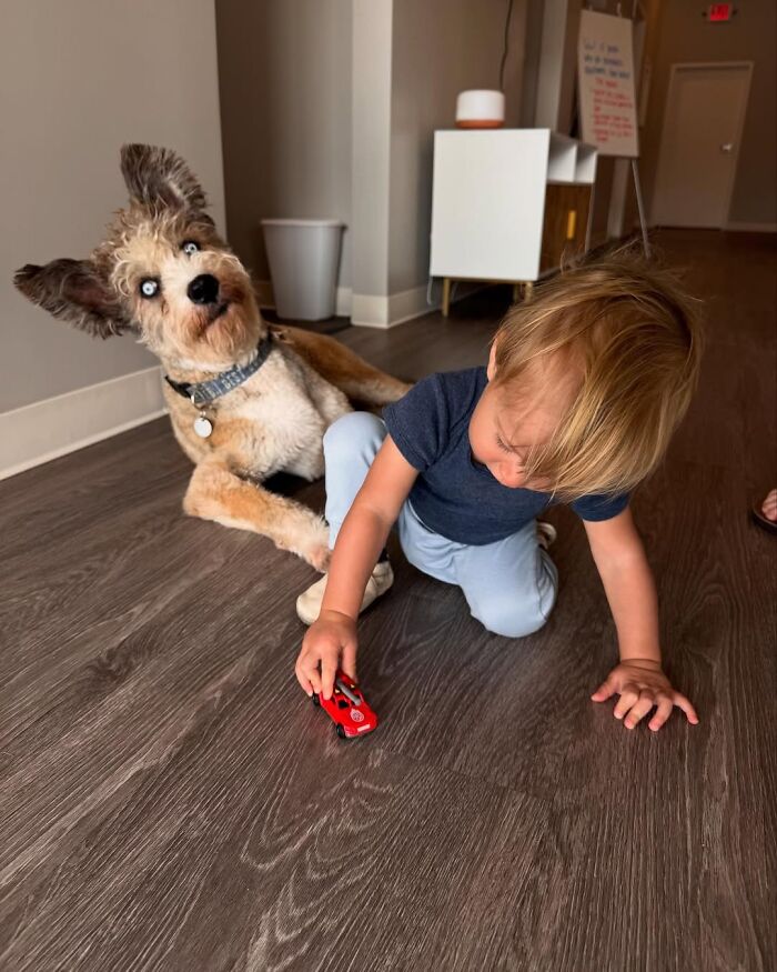 Special Needs Dog Einstein Was Given A Chance, And He’s Thriving Now Special Needs Dog Einstein Was Given A Chance, And He’s Thriving Now