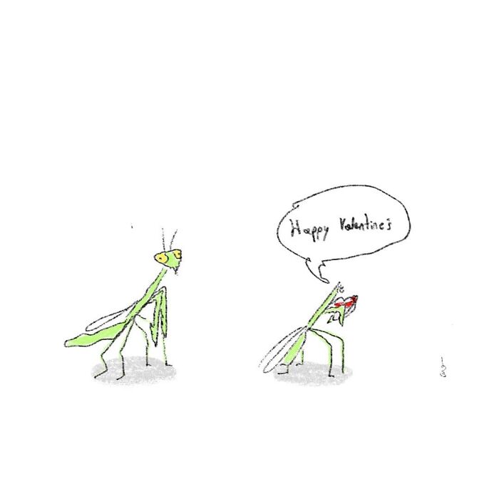 Minimalist comic of two praying mantises, one holding a heart-shaped object saying Happy Valentines, exploring weirder thoughts.