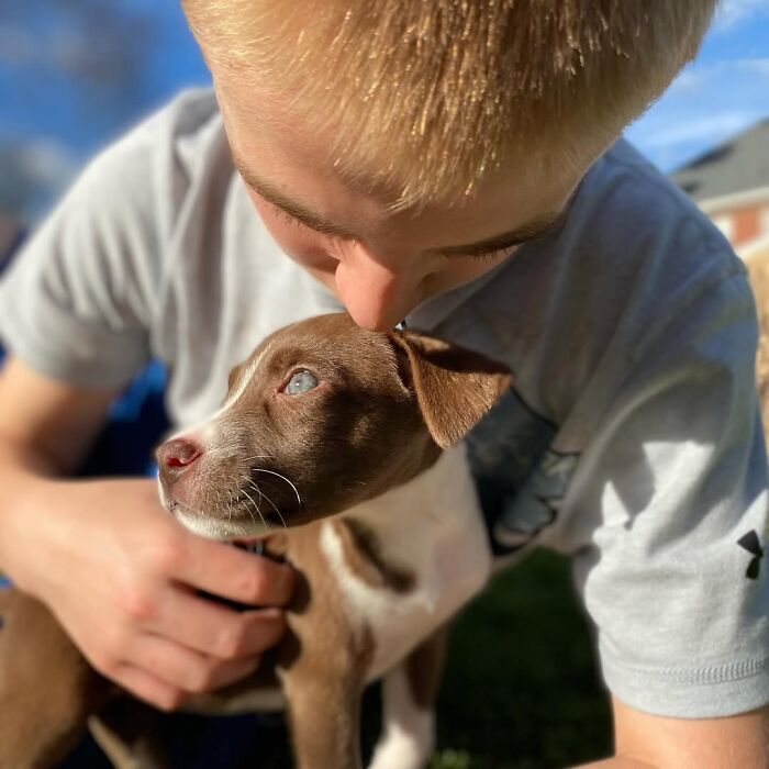 This 14-Year-Old Boy Has Helped Thousands Of Shelter Dogs Find Homes, And His Mission Started When He Was Just 4 (31 Pics)