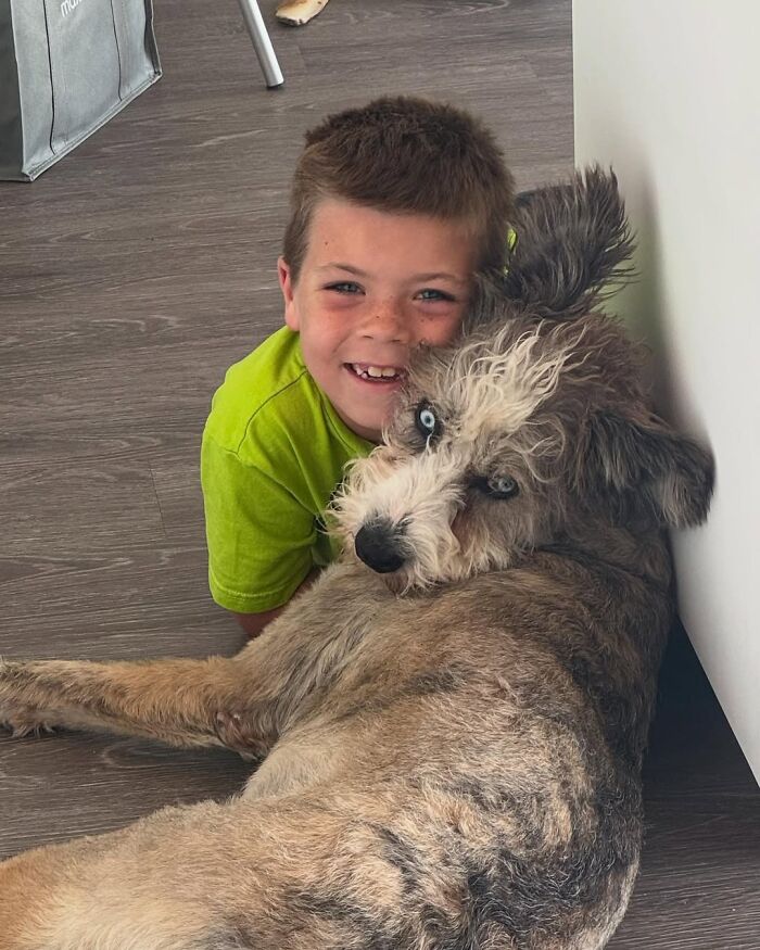 Special Needs Dog Einstein Was Given A Chance, And He’s Thriving Now Special Needs Dog Einstein Was Given A Chance, And He’s Thriving Now