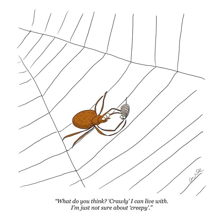 Minimalist comic showing a spider on a web talking about the words crawlly and creepy, exploring weirder thoughts.