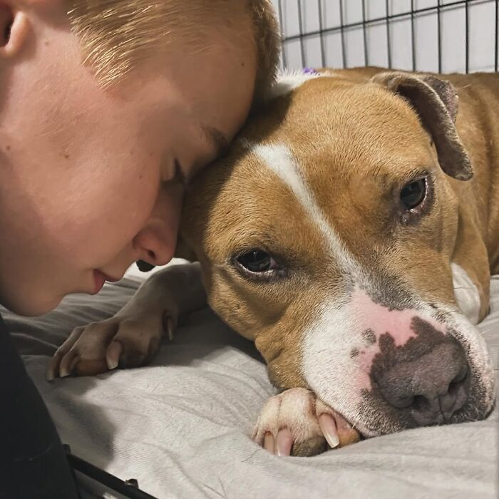 This 14-Year-Old Boy Has Helped Thousands Of Shelter Dogs Find Homes, And His Mission Started When He Was Just 4 (31 Pics)