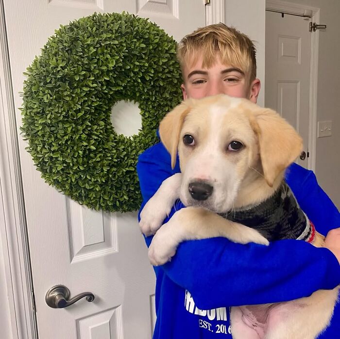 This 14-Year-Old Boy Has Helped Thousands Of Shelter Dogs Find Homes, And His Mission Started When He Was Just 4 (31 Pics)