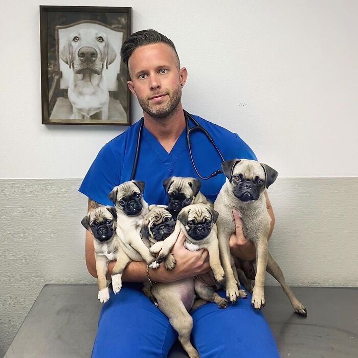 This Instagram Page Shows Heartwarming Photos Of Men And Their Dogs (50 Pics)