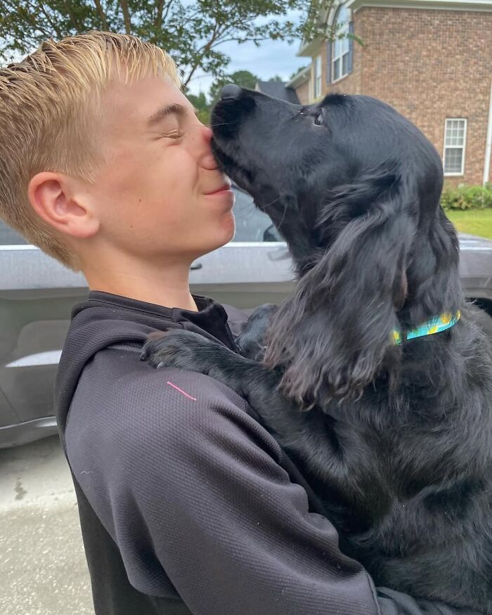 This 14-Year-Old Boy Has Helped Thousands Of Shelter Dogs Find Homes, And His Mission Started When He Was Just 4 (31 Pics)