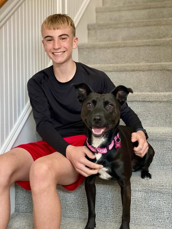 This 14-Year-Old Boy Has Helped Thousands Of Shelter Dogs Find Homes, And His Mission Started When He Was Just 4 (31 Pics)