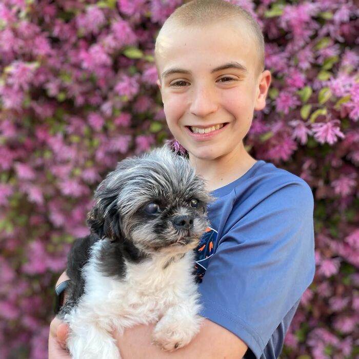 This 14-Year-Old Boy Has Helped Thousands Of Shelter Dogs Find Homes, And His Mission Started When He Was Just 4 (31 Pics)