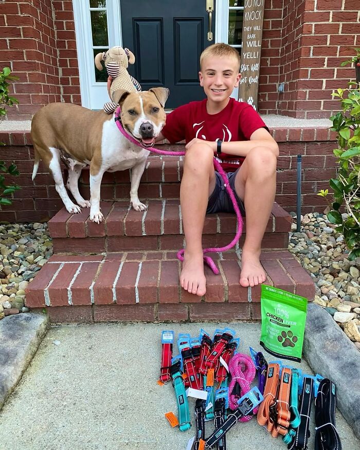 This 14-Year-Old Boy Has Helped Thousands Of Shelter Dogs Find Homes, And His Mission Started When He Was Just 4 (31 Pics)