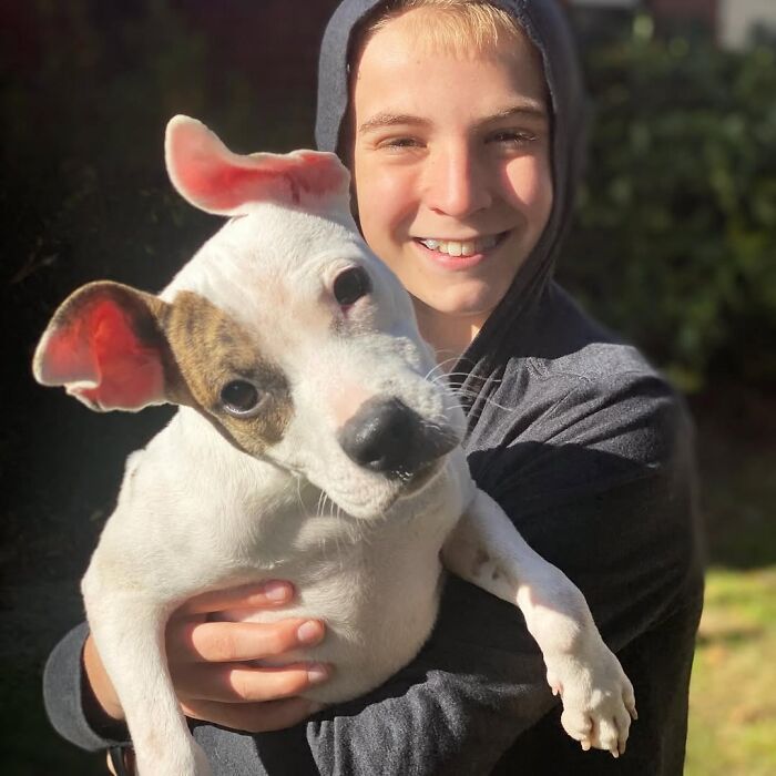 This 14-Year-Old Boy Has Helped Thousands Of Shelter Dogs Find Homes, And His Mission Started When He Was Just 4 (31 Pics)
