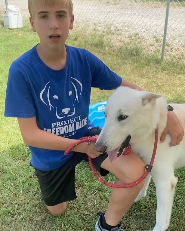 This 14-Year-Old Boy Has Helped Thousands Of Shelter Dogs Find Homes, And His Mission Started When He Was Just 4 (31 Pics)