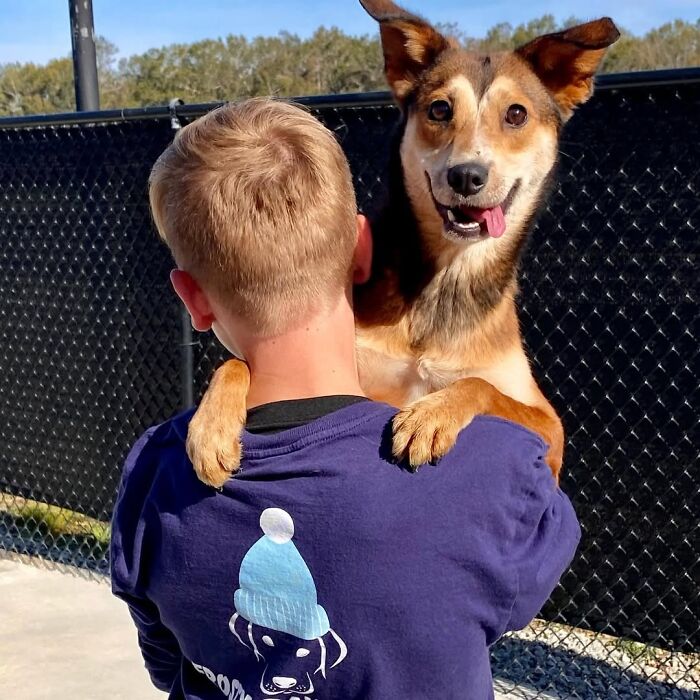 This 14-Year-Old Boy Has Helped Thousands Of Shelter Dogs Find Homes, And His Mission Started When He Was Just 4 (31 Pics)