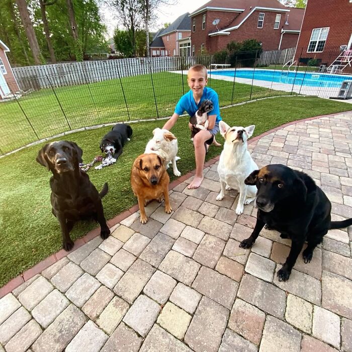 This 14-Year-Old Boy Has Helped Thousands Of Shelter Dogs Find Homes, And His Mission Started When He Was Just 4 (31 Pics)
