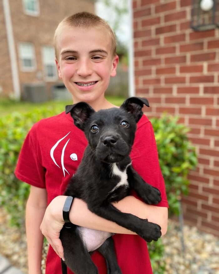 This 14-Year-Old Boy Has Helped Thousands Of Shelter Dogs Find Homes, And His Mission Started When He Was Just 4 (31 Pics)