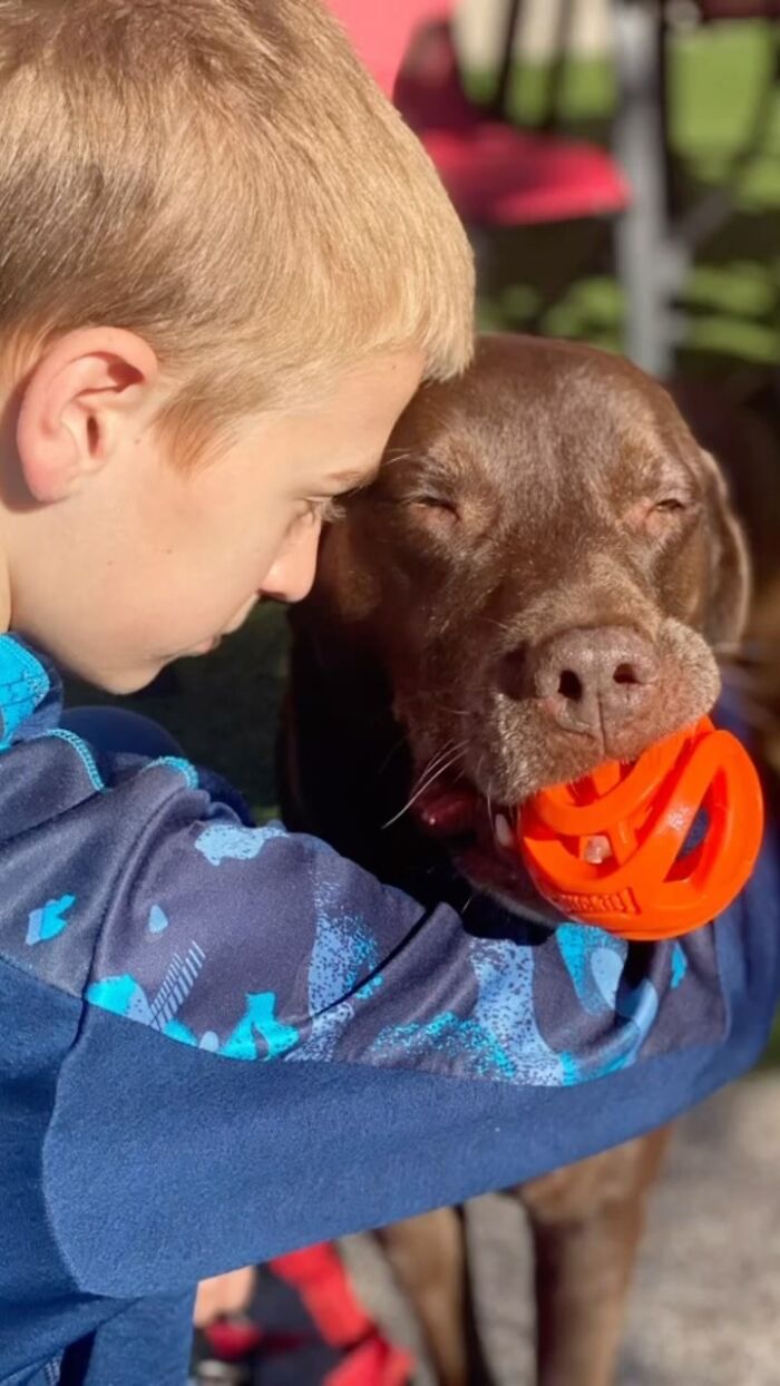 This 14-Year-Old Boy Has Helped Thousands Of Shelter Dogs Find Homes, And His Mission Started When He Was Just 4 (31 Pics)