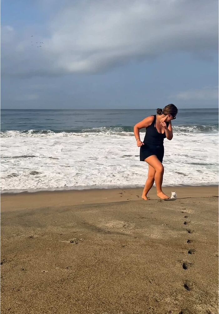 This Guy Thought He Was A “Dog Person” Until Rescue Kitten Lilo Changed His Mind This Guy Thought He Was A “Dog Person” Until Rescue Kitten Lilo Changed His Mind