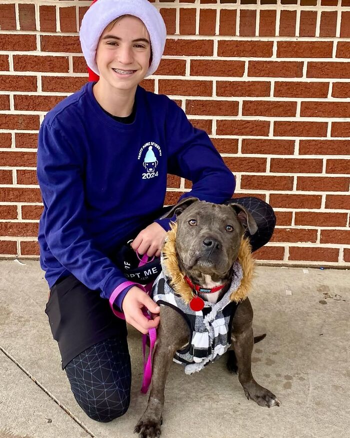 This 14-Year-Old Boy Has Helped Thousands Of Shelter Dogs Find Homes, And His Mission Started When He Was Just 4 (31 Pics)