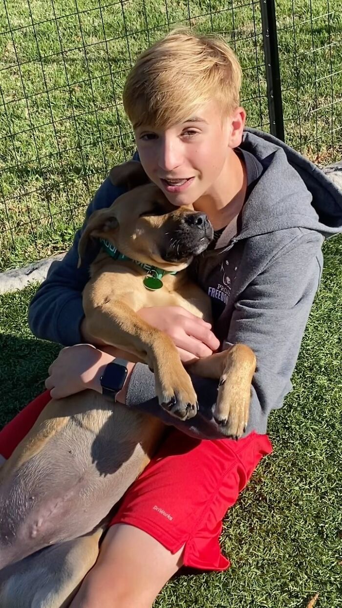 This 14-Year-Old Boy Has Helped Thousands Of Shelter Dogs Find Homes, And His Mission Started When He Was Just 4 (31 Pics)