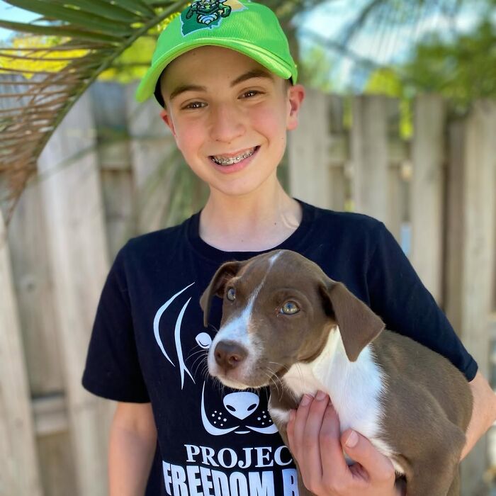 This 14-Year-Old Boy Has Helped Thousands Of Shelter Dogs Find Homes, And His Mission Started When He Was Just 4 (31 Pics)