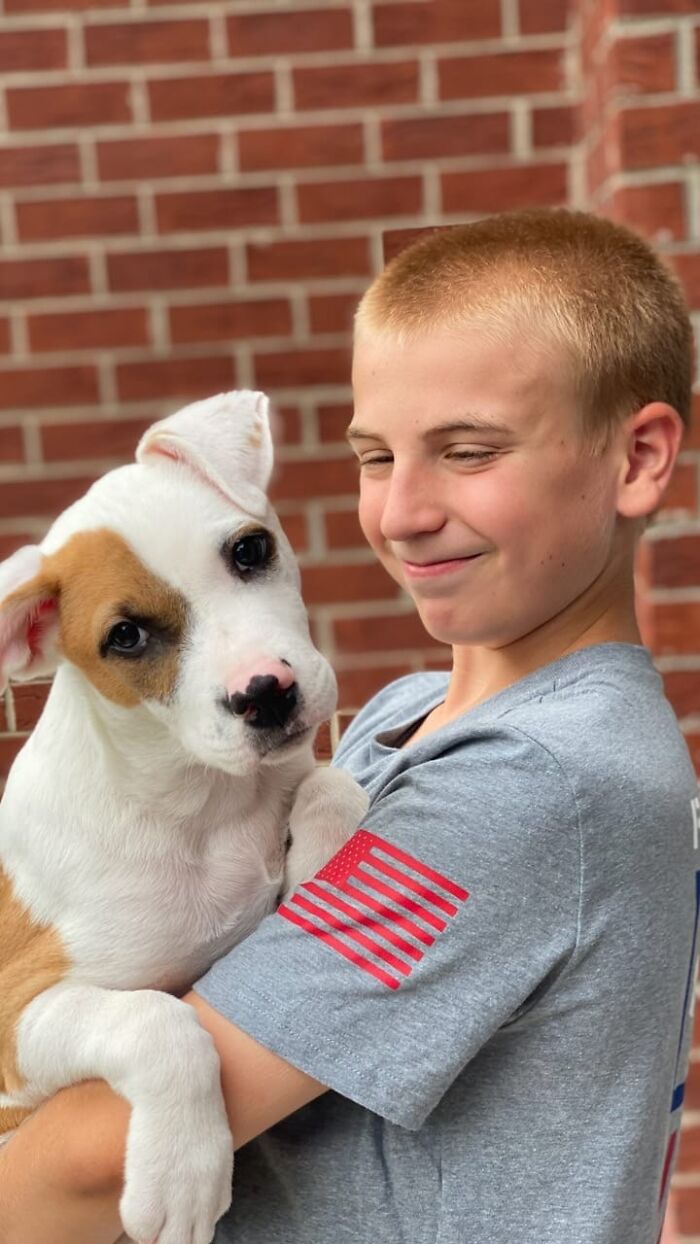 This 14-Year-Old Boy Has Helped Thousands Of Shelter Dogs Find Homes, And His Mission Started When He Was Just 4 (31 Pics)