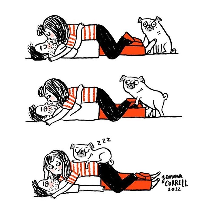 Comic strip showing a couple lying down and a pug interrupting, highlighting pug owners’ unique behaviors.