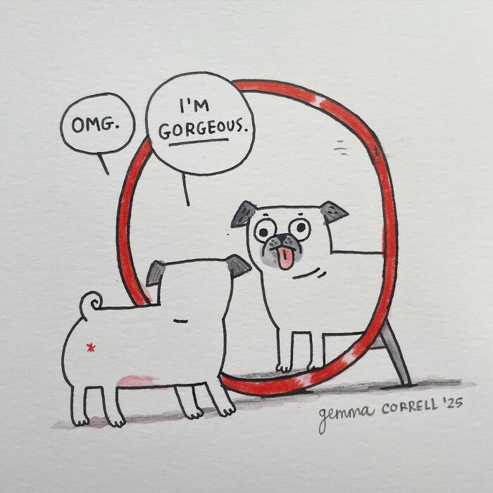 Comic of a pug looking in a mirror saying I’m gorgeous with a caption about pug owners’ humor and personality.