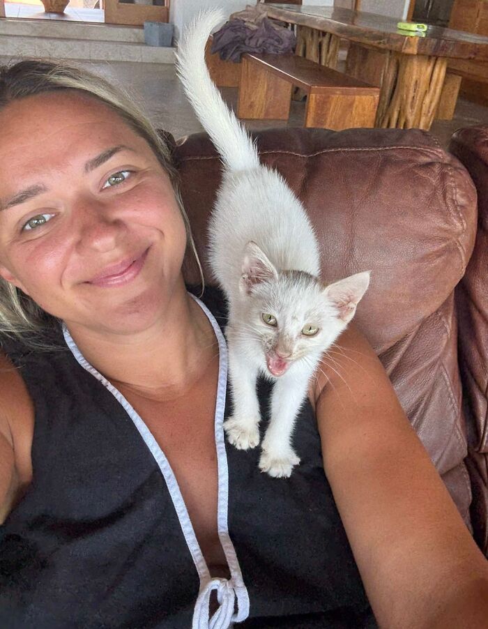 This Guy Thought He Was A “Dog Person” Until Rescue Kitten Lilo Changed His Mind This Guy Thought He Was A “Dog Person” Until Rescue Kitten Lilo Changed His Mind