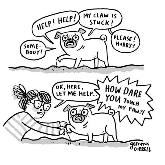 Comic of a pug owner trying to help a distressed pug with a stuck claw, showing pug owner behavior humor.