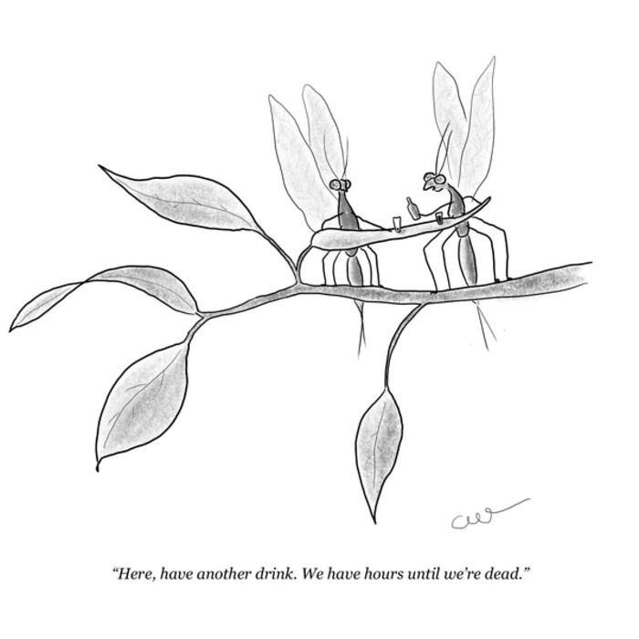 Minimalist comic of two insects drinking on a branch, exploring weird thoughts about time and existence.