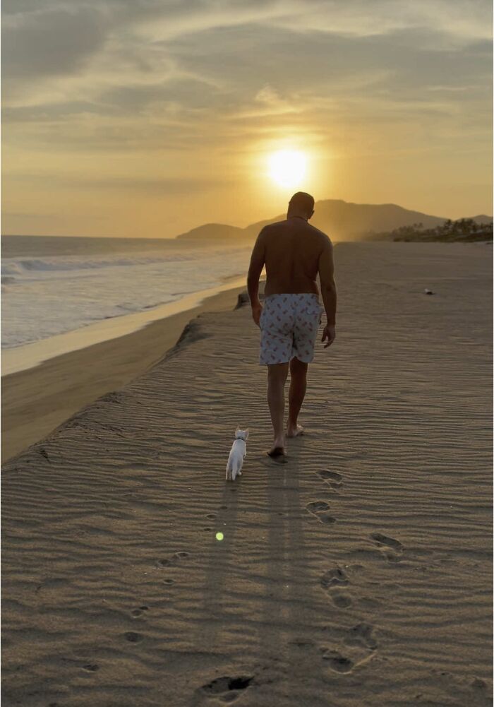 This Guy Thought He Was A “Dog Person” Until Rescue Kitten Lilo Changed His Mind This Guy Thought He Was A “Dog Person” Until Rescue Kitten Lilo Changed His Mind