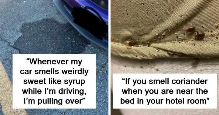 “Literally Saved My Life”: 57 Odors You Should Never Ever Dismiss