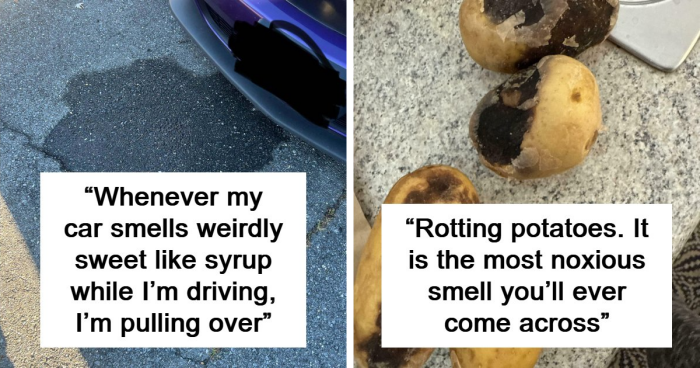 “Literally Saved My Life”: 57 Odors You Should Never Ever Dismiss