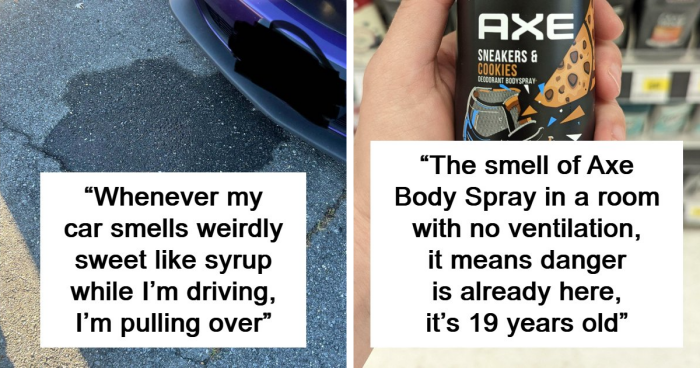 “Literally Saved My Life”: 57 Odors You Should Never Ever Dismiss