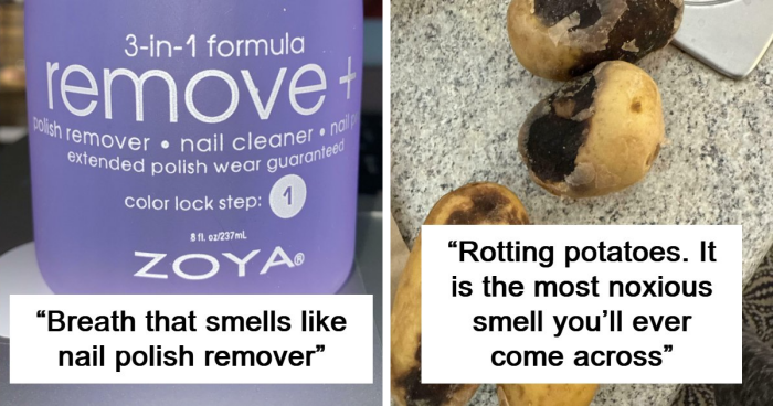 “Literally Saved My Life”: 57 Odors You Should Never Ever Dismiss