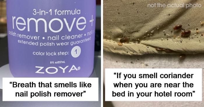 “Literally Saved My Life”: 57 Odors You Should Never Ever Dismiss