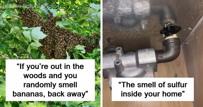 “Literally Saved My Life”: 57 Odors You Should Never Ever Dismiss