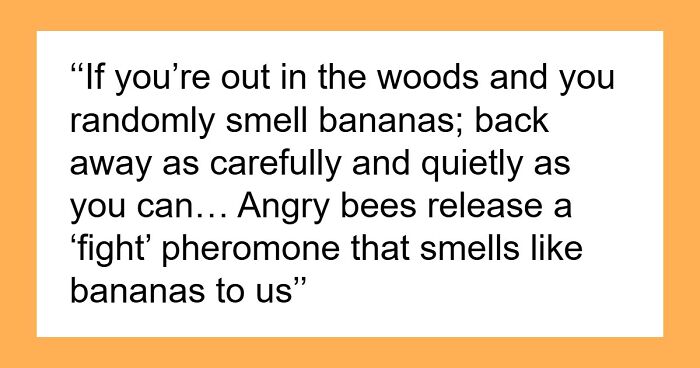 “Literally Saved My Life”: 57 Odors You Should Never Ever Dismiss