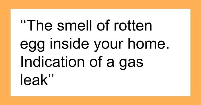 “Literally Saved My Life”: 57 Odors You Should Never Ever Dismiss