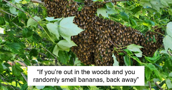 “Literally Saved My Life”: 57 Odors You Should Never Ever Dismiss