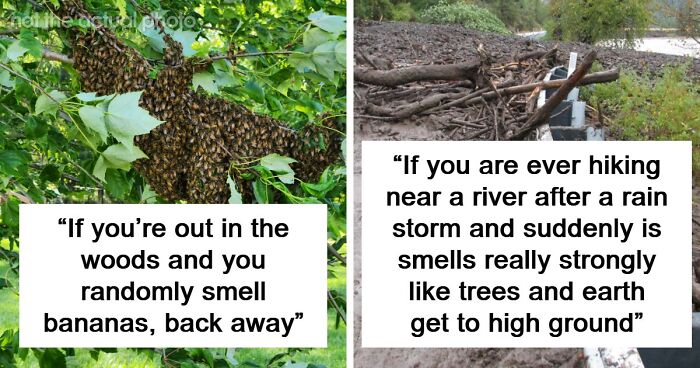 “Literally Saved My Life”: 57 Odors You Should Never Ever Dismiss