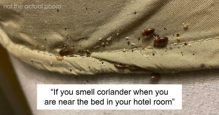 “Literally Saved My Life”: 57 Odors You Should Never Ever Dismiss