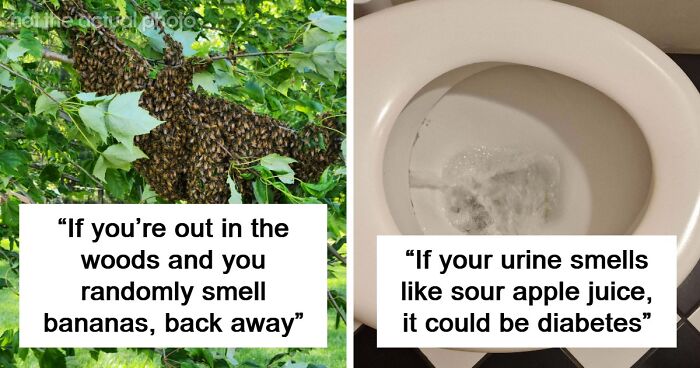 “Literally Saved My Life”: 57 Odors You Should Never Ever Dismiss