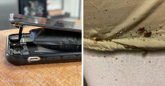 “Literally Saved My Life”: 57 Odors You Should Never Ever Dismiss