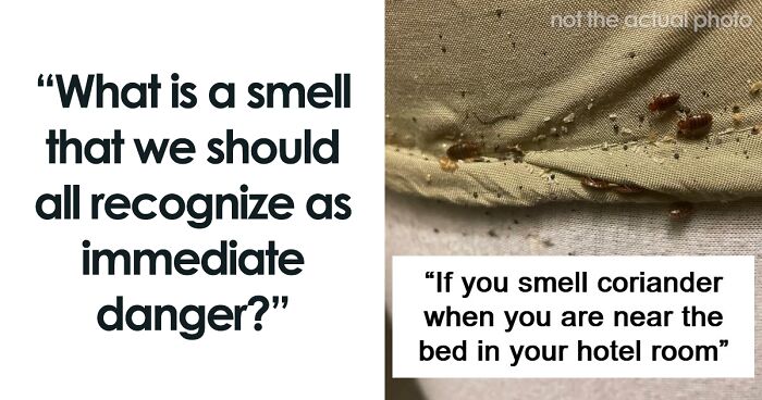 “Literally Saved My Life”: 57 Odors You Should Never Ever Dismiss