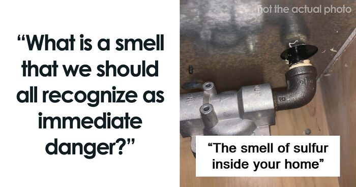 “Literally Saved My Life”: 57 Odors You Should Never Ever Dismiss